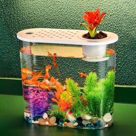 Aquarium De Bureau - Bac À Poissons Clair En PETG - Pour Poissons Rouges Et Poissons Tropicaux - Système Aquaponique Avec Couvercle Amovible - 1 Pièce (1/5)