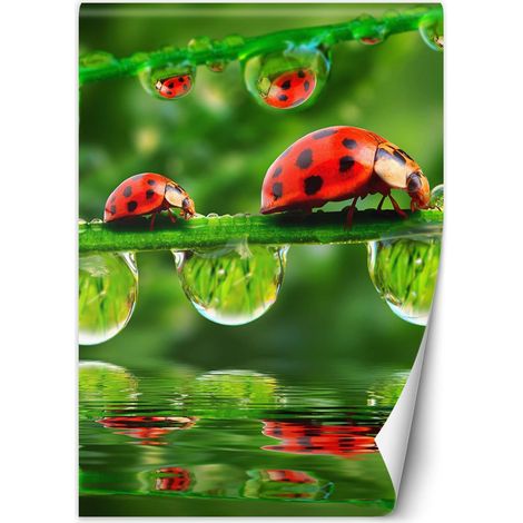 Papier peint Coccinelle sur branches 100x140 (1/5)