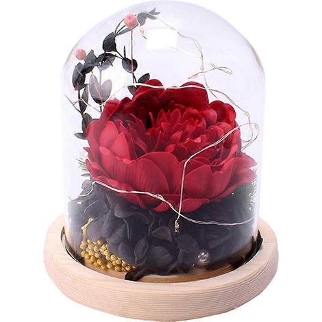 Lampe LED avec abat-jour en verre, motif pivoine et hortensia rouge, cadeau d'anniversaire ou de fête des mères pour une petite amie ou une mère. (1/5)
