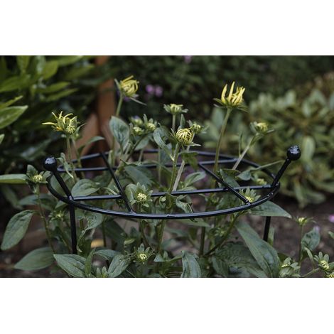 Pack of 2 Tom Chambers Cottage Heavy Duty Black Metal Steel Herbaceous Garden Plant Support Grow Through Large 80cm x 45cm (1/5)