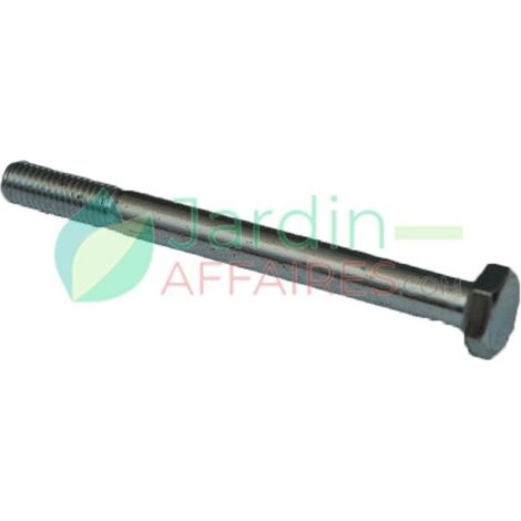Vite Uni 5737 M 10 x 110 Delmorino 40100134