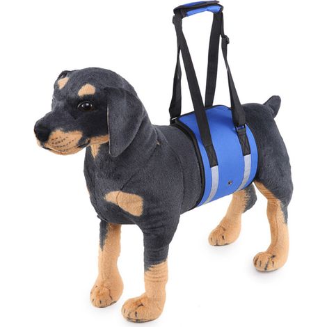 Harnais réfléchissant pour chien avec bandoulière pour aider à soulever l'arrière-train du chien (bleu) (1/5)