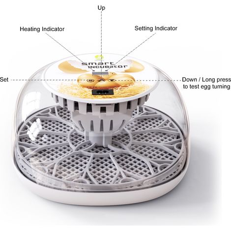 Incubateur avec retournement automatique des œufs et contrôle de l'humidité plateau à œufs multifonctionnel pour l'incubation. (1/2)