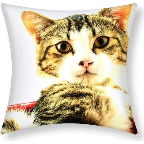 Housses de Coussin - AVIZAR - 40x40 cm - Motif Chat - Multicolore - Design Contemporain