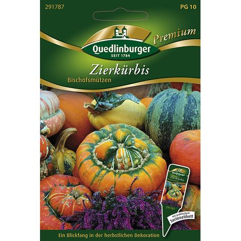 Quedlinburger Zierkürbis Bischofsmützen - Blumensamen