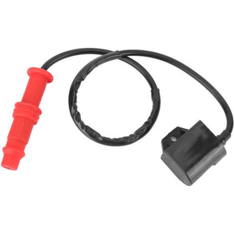 Replacement ignition coil, suitable for Polaris Sportsman/Ranger 3089239 (1/5)