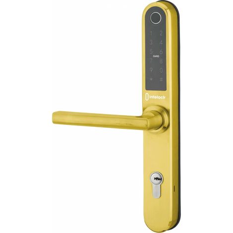 Paire de poignées connectées Intelock Multi, pour porte d'entrée, entr'axes 85mm, doré - INTELOCK (1/3)