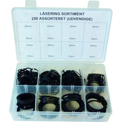 Assortiment 250 circlips exterieurs 20 EQUINOXE - 12926 (1/3)