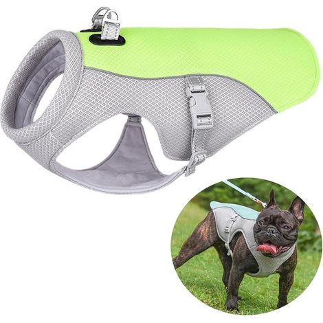 Gilet rinfrescante per cani (verde, XXXL) Giacca rinfrescante per cani Gilet rinfrescante per cani Raffreddamento per cani Gilet rinfrescante Con anello a D regolabile Rete traspirante per cani (1/5)