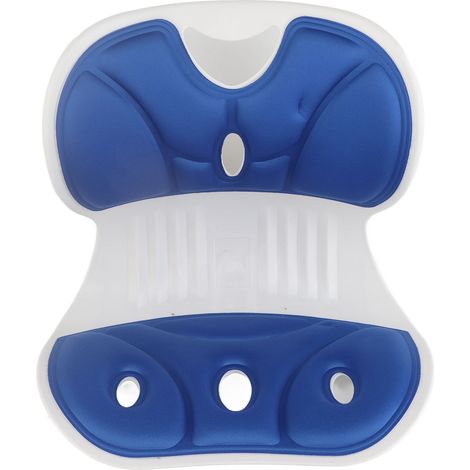 Appui lombaire dorsal correcteur posture assise confortable coussin léger dossier bleu pour bureau maison (1/5)