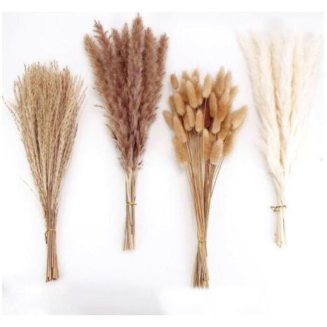 Décoration en herbe de la pampa séchée, 105 pièces. Herbe de la pampa contenant des queues de lapin et des fleurs séchées, bouquet d'herbe de roseau pour mariage, fleurs bohèmes, décoration de table,