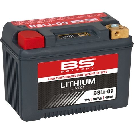 Batteria agli ioni di litio LiFePO4 con indicatore di carica BSLI-09 12,8 V