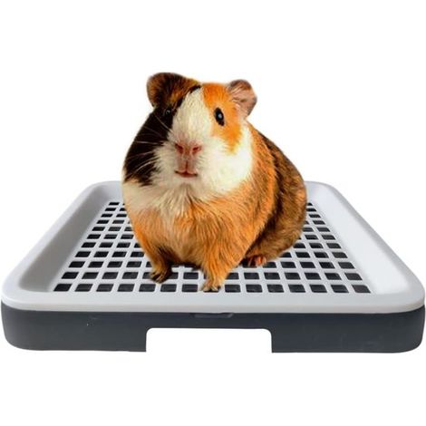 Kleine Katzentoilette – speziell für Meerschweinchen und Chinchillas entwickelt – Ecktoilette, geeignet für dreieckige Käfige – mit Überlaufseite und herausziehbarer Schale – leicht zu reinigen – erle (1/5)