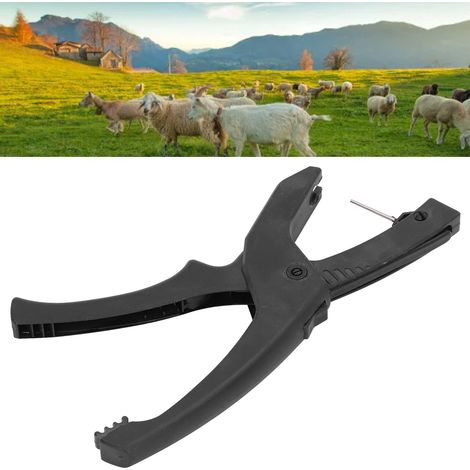 Automatischer antibakterieller TPU-Tierohrstecker mit Rückstellmechanismus – 26,5 cm für Schweine, Schafe und Rinder – 2 Stück im Lieferumfang enthalten (1/5)