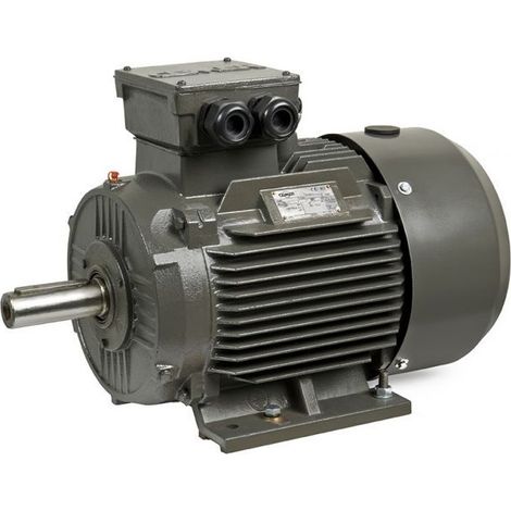 Moteur triphasé CEMER B3, 30 KW, 3000 TR/MIN, HA 200, 400/690V, IE3, Fonte