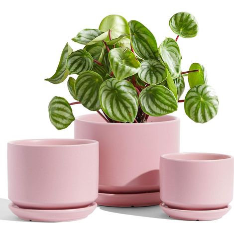 3er Set Keramik Blumentöpfe mit Untersetzer, Rosa, 11-17 cm (1/5)
