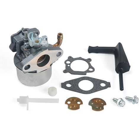Compatible with carburateur Carb pour 798653 697354 790290 791077 698860 New