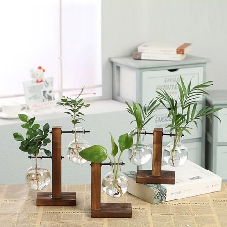 Vase - Bonsaï - Verre Trempé - Cercle En Bois Naturel - Pour Intérieur - Hauteur 25 Cm - 1 Pièce (1/4)
