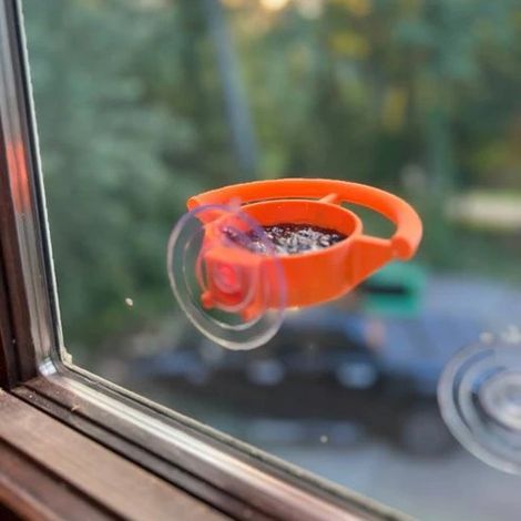 Mangeoire à oiseaux pour fenêtre à ventouse orange Distributeur de graines pour oiseaux fixation sur vitre Accessoire d’observation ornithologique pour la maison (1/5)