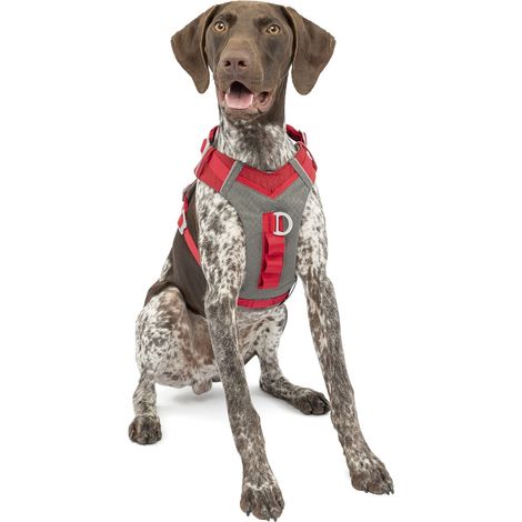 Kurgo Journey Air - Pettorina Cane Riflettente per Running, Camminate ed Hiking, Collare Cane Stile Viaggio - Rosso, M (1/5)