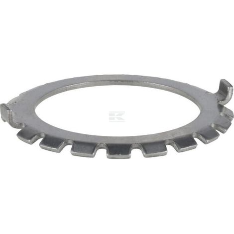 Arandela de sujeci贸n ZF 0730703013