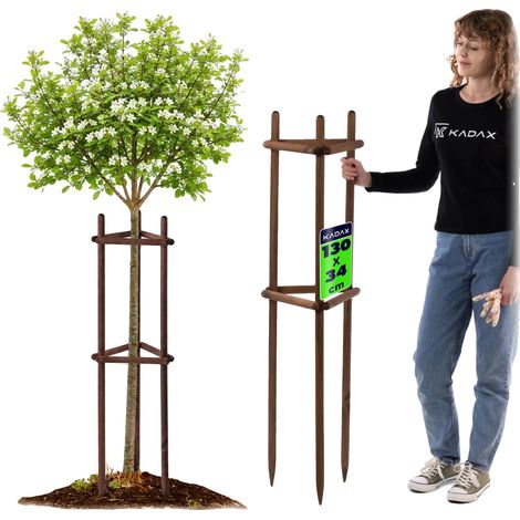 Soporte para plantas, fabricado en madera de haya, 130 cm de altura, estructura de trípode, estaca de 28 mm de diámetro, adecuado para árboles y arbustos jóvenes. (1/5)