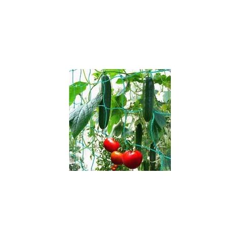 Filet à ramer maillage large 1.8 x 2.7 m – Polyéthylène robuste – Pour récolte de concombres, tomates et plantes grimpantes (1/5)