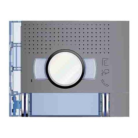 BTI351223 Standard-A/V-Frontplatte mit 2 Tasten