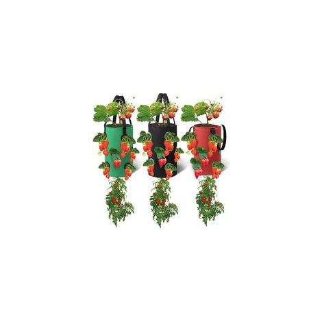 Lot de 3 sacs de culture suspendus 20x35cm – Tissus non tissés avec 12 poches respirantes – Pour fraises, herbes, fleurs, légumes - 20cm35cm (1/5)