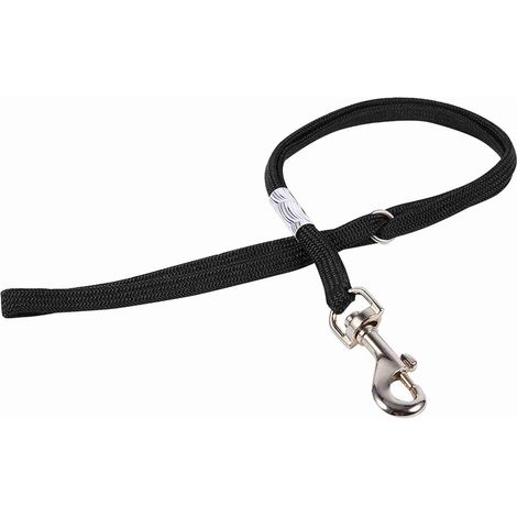 Mesa de aseo para perros y gatos, reposabrazos, bañera, arnés de sujeción ajustable con hebilla de anilla en S y mosquetón. (1/5)