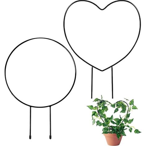Deux supports métalliques pour plantes, adaptés aux plantes d'intérieur, aux plantes grimpantes et aux plantes en pot. (1/5)