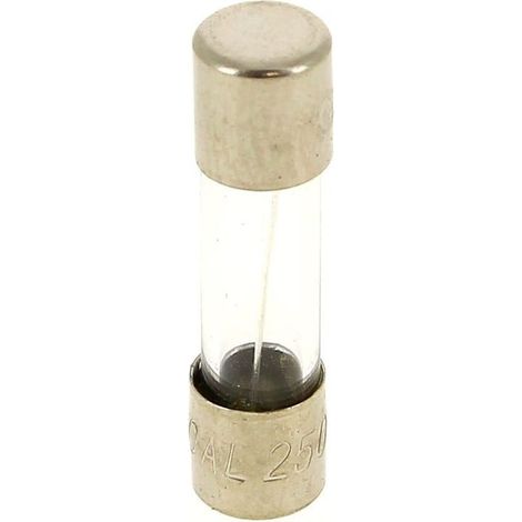 Fusible 10a 5x20mm f ++ pour Four Bosch, Cuisiniere Bosch, Four Siemens, Droguerie Accessoire, Four Neff, Micro-ondes Thomson, M