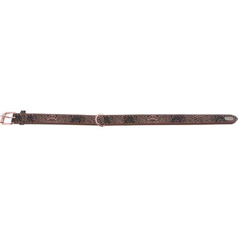 Collier chien Shiny Phyton Taille : T20