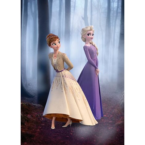 Poster Disney La Reine des Neiges 2 - Anna et Elsa se promènent en forêt 40 cm x 50 cm (1/3)