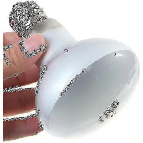 (40 W) Ampoule UVA+UVB pour reptiles, tortues et amphibiens (lézards) avec régulateur de température (1/4)