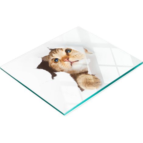 Tablero decorativo multifuncional de vidrio templado con dise帽o de gato en un agujero, 60x52 cm.