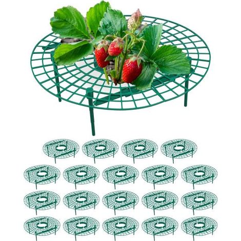 Tagliafragole, 20 pz (1/5)