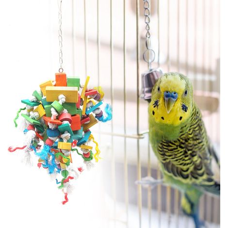 Lot de 3 blocs colorés suspendus pour oiseaux, avec une tringle givrée en forme d'échelle et un jouet à mâcher pour perroquets, accessoire pour cage. (1/5)
