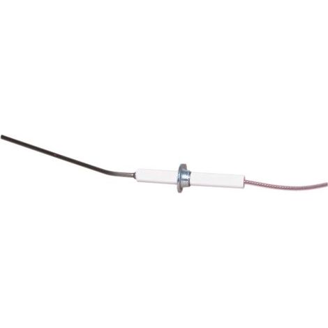 Electrode d'ionisation