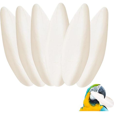 Os de Seiche Naturel pour Oiseaux - Lot de 6 Os de Sèche pour Bec et Apport en Calcium (1/5)