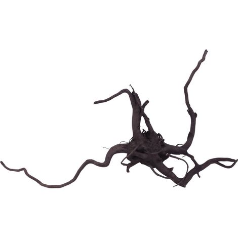XL Black Spider Wurzel Nr.2660 Fingerwurzel Echtholz Deko Aquascaping
