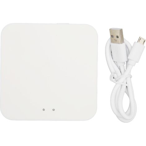 Passerelle WiFi 2.4G pour Serrure Intelligente, Contrôle à Distance par Application Multifonction pour Maison, Bureau, Hôtel (1/5)