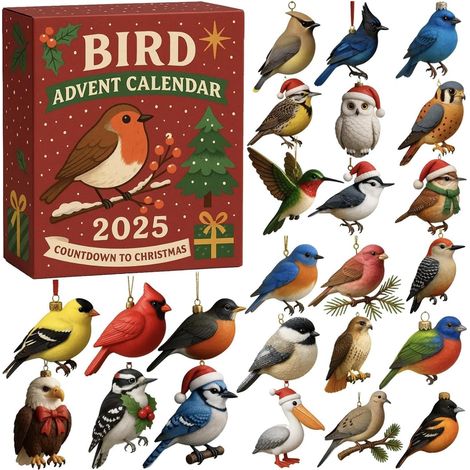 Calendrier de l'Avent d'Oiseaux 2025, 24 Calendrier du Compte à rebours d'Ornement d'Oiseaux du Soleil, Calendrier de l'Avent (1/5)