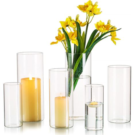 Vases Cylindriques en Verre, 6 Pièces Vase Transparent pour Table (1/5)