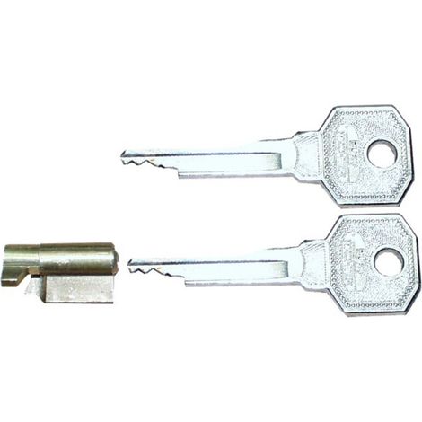 Serrure antivol pour rotule Brinkmatic (1/2)