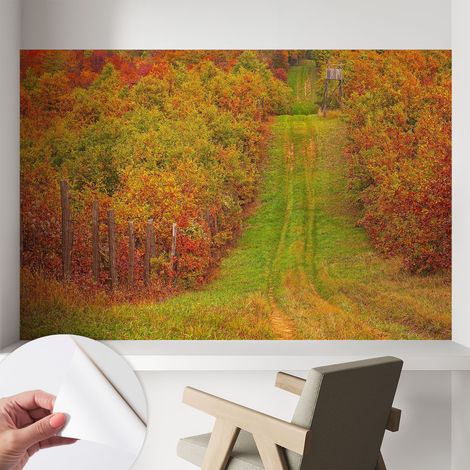 Fotomurale adesivo stickers - per camera da letto - per corridoio - decorazione casa moderna Colori autunnali 104x70 cm (1/5)