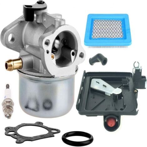 Vergaser 799868 für Briggs & Stratton Vergaser 498170, 799872, 694202, 497586, 498254 und 790821 – für Briggs & Stratton Vergaser 14111 und 795259 (1/4)