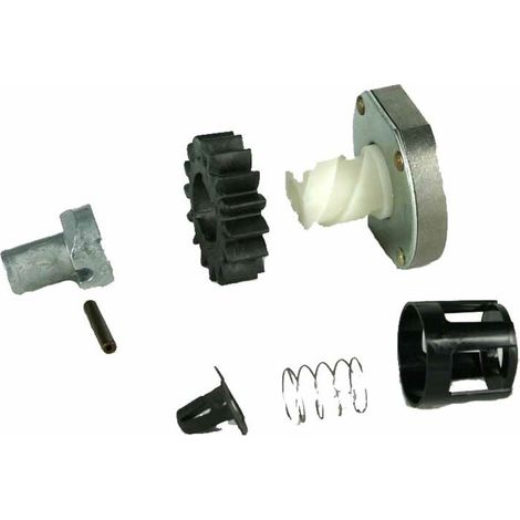 KIT MOTORINO EX 495878(340029) BRIGGS & STRATTON