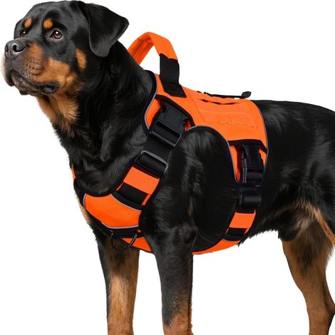 Beyamis Sangle poitrine tactique orange - Gilet réfléchissant chien XL (1/5)