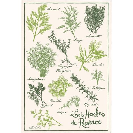 Torchon de Cuisine Imprimé Herbes de Provence en 100% Coton Absorbant Écru 48 x 72 cm - PANGIVO